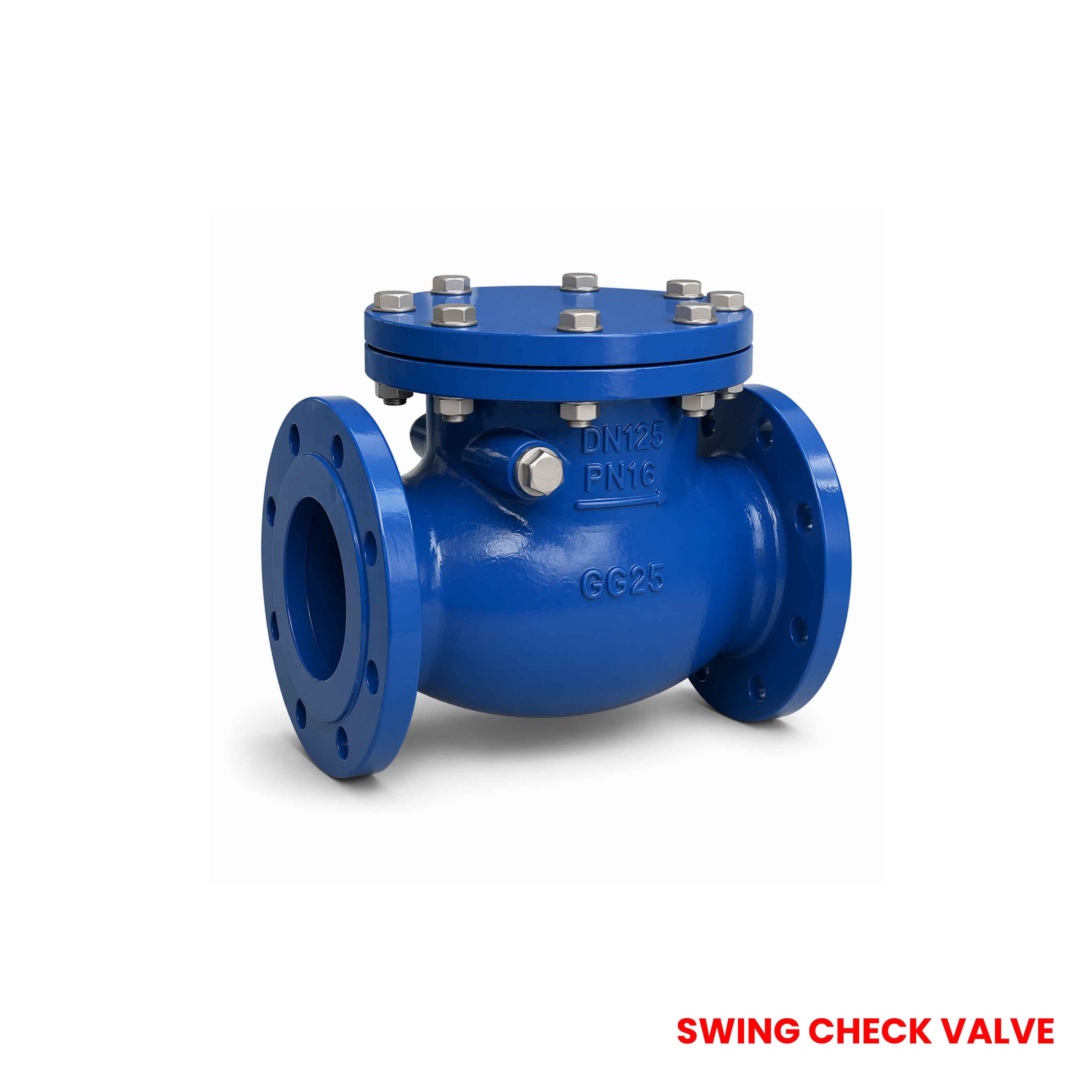 Swing Check Valve - Swing Check Valve